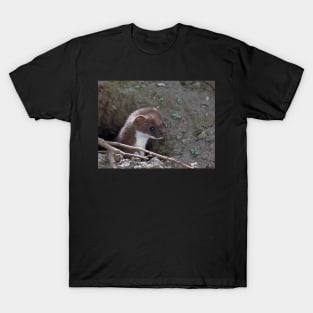 Stoat in the Hole T-Shirt